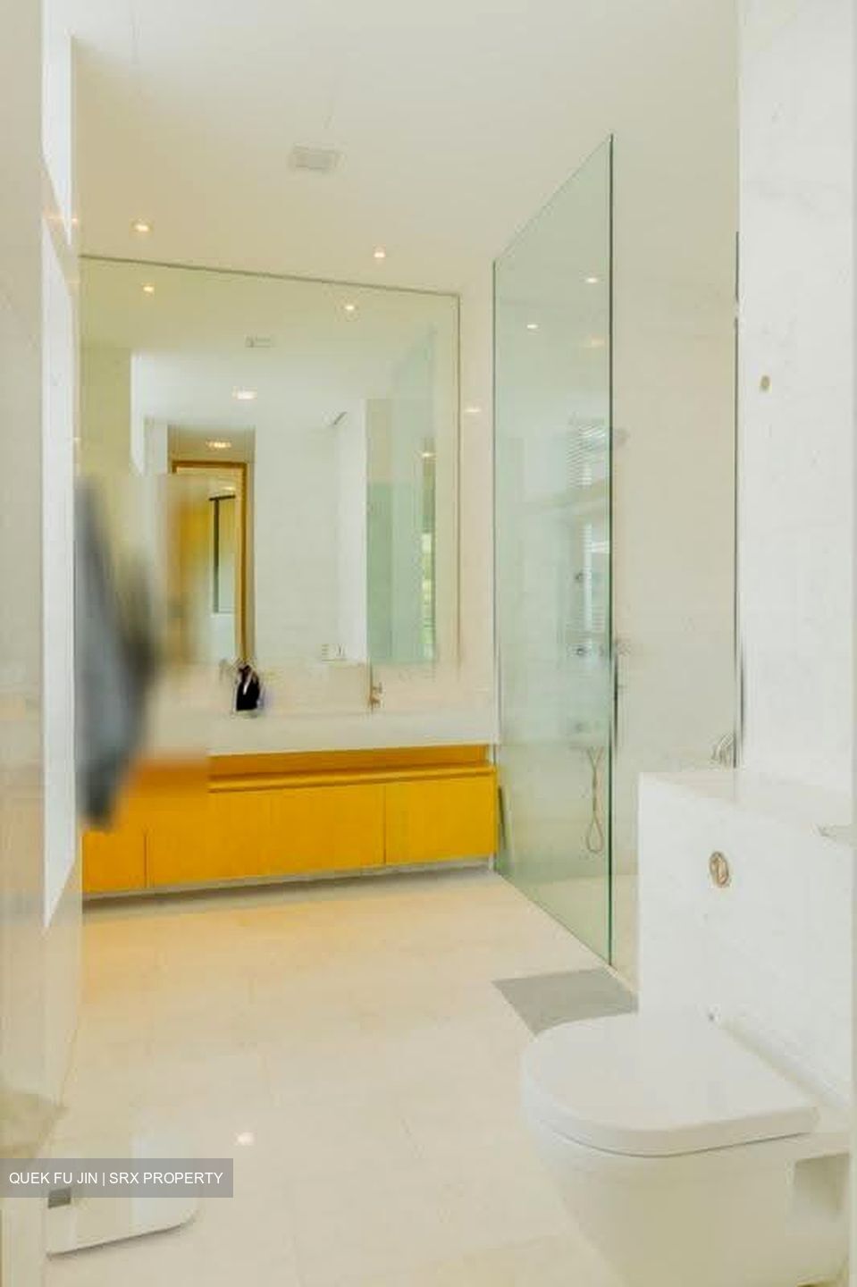 Belle Vue Residences (D9), Condominium #613404761